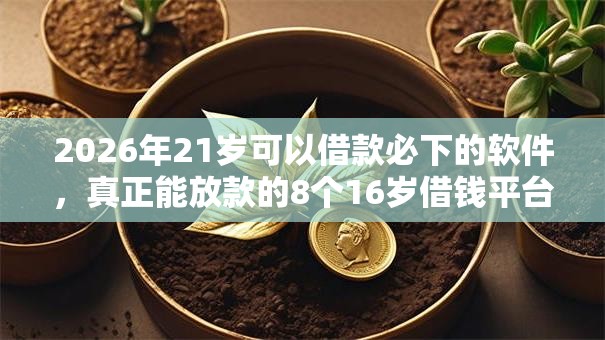 2026年21岁可以借款必下的软件，真正能放款的8个16岁借钱平台推荐