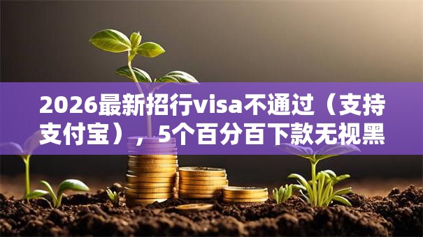 2026最新招行visa不通过（支持支付宝），5个百分百下款无视黑白户网贷无私分享