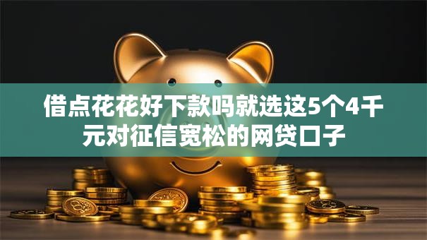 借点花花好下款吗就选这5个4千元对征信宽松的网贷口子