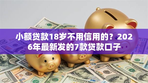 小额贷款18岁不用信用的？2026年最新发的7款贷款口子