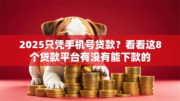 2025只凭手机号贷款？看看这8个贷款平台有没有能下款的
