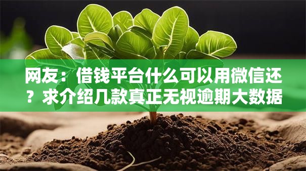 网友：借钱平台什么可以用微信还？求介绍几款真正无视逾期大数据的网贷口子