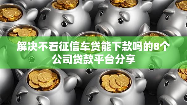 解决不看征信车贷能下款吗的8个公司贷款平台分享
