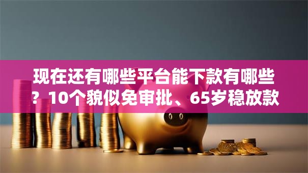 现在还有哪些平台能下款有哪些？10个貌似免审批、65岁稳放款口子的年龄要求合集