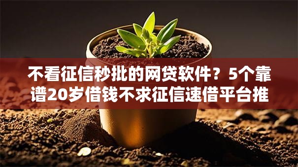 不看征信秒批的网贷软件？5个靠谱20岁借钱不求征信速借平台推荐