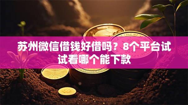 苏州微信借钱好借吗？8个平台试试看哪个能下款