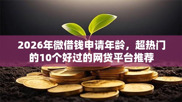 2026年微借钱申请年龄，超热门的10个好过的网贷平台推荐