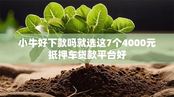 小牛好下款吗就选这7个4000元抵押车贷款平台好
