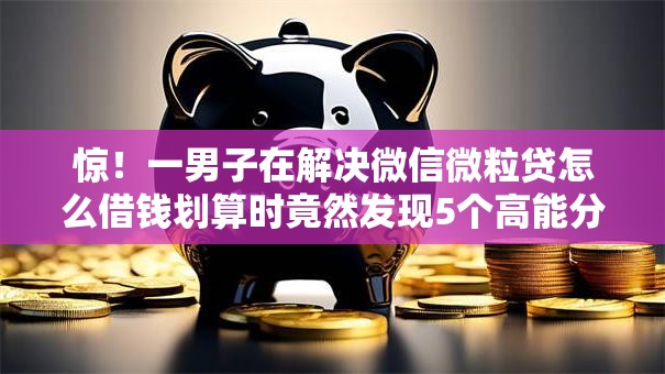 惊！一男子在解决微信微粒贷怎么借钱划算时竟然发现5个高能分期贷款软件新秀，事后分享了出来
