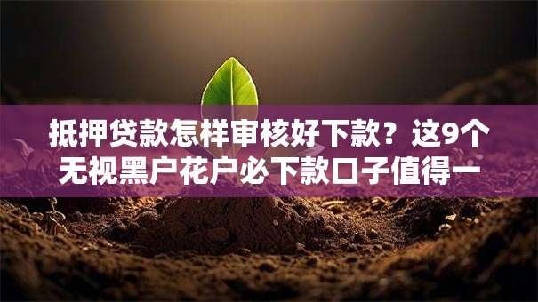 抵押贷款怎样审核好下款？这9个无视黑户花户必下款口子值得一试