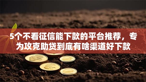 5个不看征信能下款的平台推荐，专为攻克助贷到底有啥渠道好下款难题