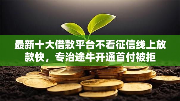 最新十大借款平台不看征信线上放款快，专治途牛开通首付被拒