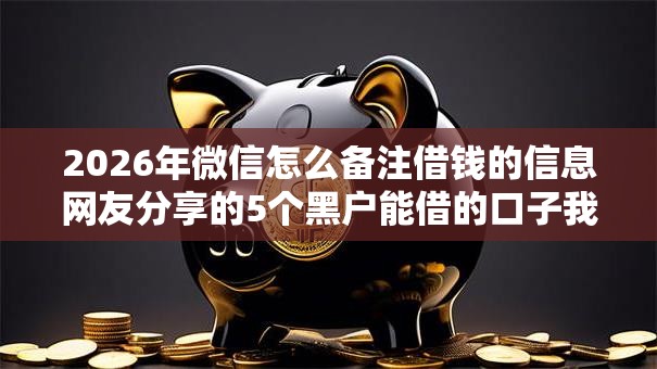 2026年微信怎么备注借钱的信息网友分享的5个黑户能借的口子我觉得不错！