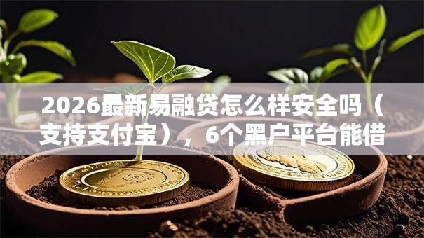 2026最新易融贷怎么样安全吗（支持支付宝），6个黑户平台能借到钱啊急用无私分享