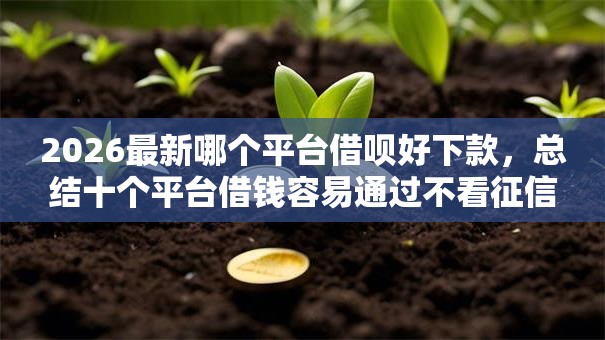 2026最新哪个平台借呗好下款，总结十个平台借钱容易通过不看征信！