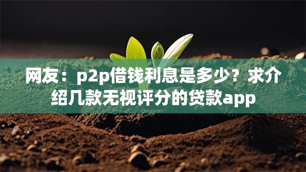 网友：p2p借钱利息是多少？求介绍几款无视评分的贷款app