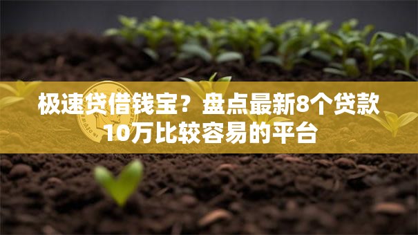 极速贷借钱宝？盘点最新8个贷款10万比较容易的平台