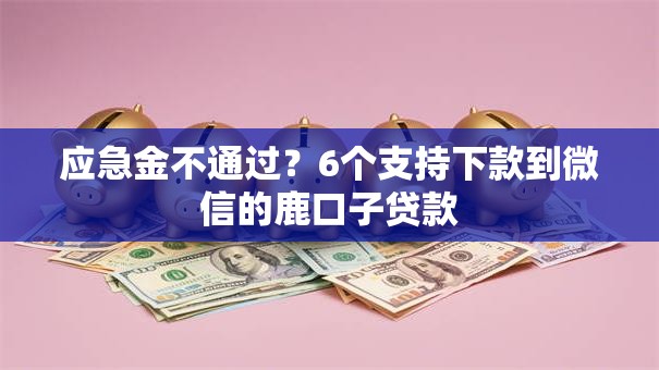 应急金不通过？6个支持下款到微信的鹿口子贷款