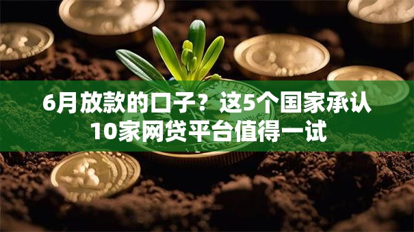 6月放款的口子？这5个国家承认10家网贷平台值得一试