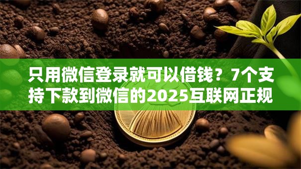 只用微信登录就可以借钱？7个支持下款到微信的2025互联网正规持牌贷款平台