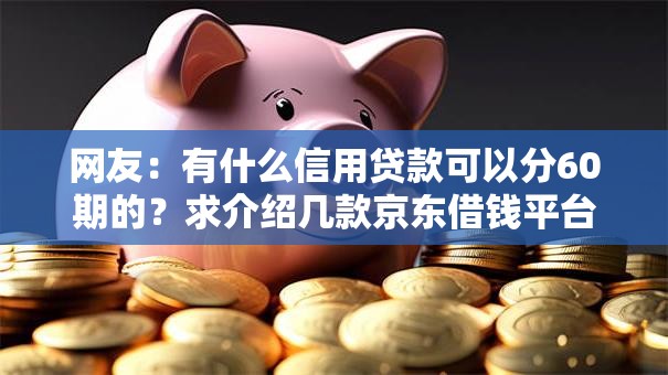 网友：有什么信用贷款可以分60期的？求介绍几款京东借钱平台