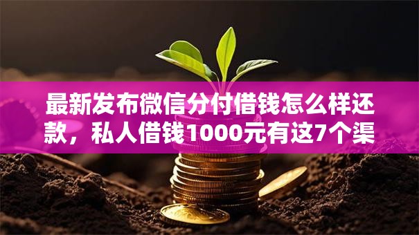 最新发布微信分付借钱怎么样还款，私人借钱1000元有这7个渠道