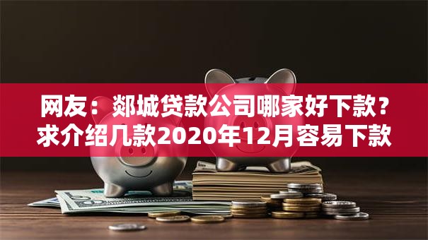网友：郯城贷款公司哪家好下款？求介绍几款2020年12月容易下款的口子