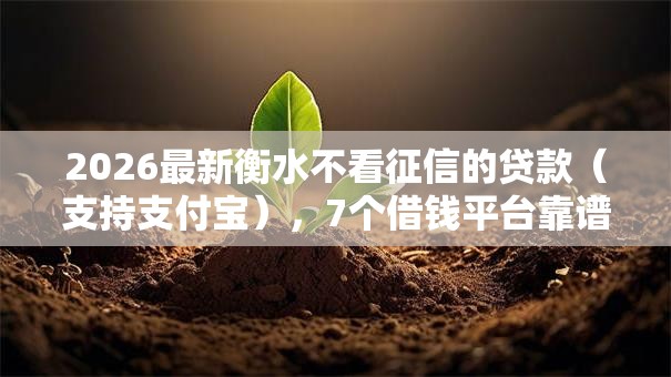 2026最新衡水不看征信的贷款（支持支付宝），7个借钱平台靠谱无私分享