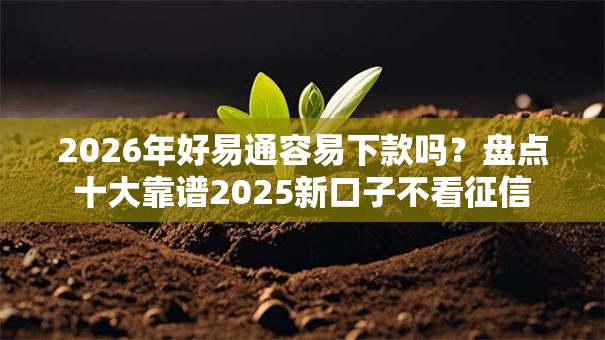 2026年好易通容易下款吗？盘点十大靠谱2025新口子不看征信
