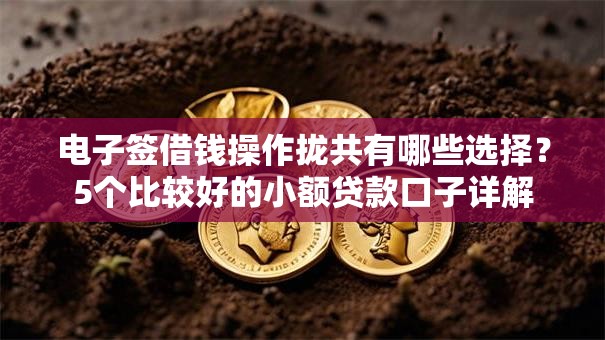 电子签借钱操作拢共有哪些选择？5个比较好的小额贷款口子详解