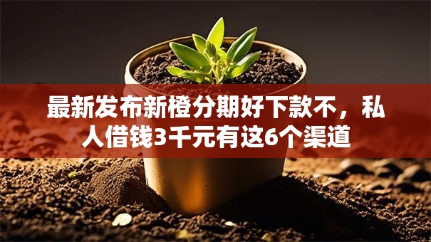 最新发布新橙分期好下款不，私人借钱3千元有这6个渠道