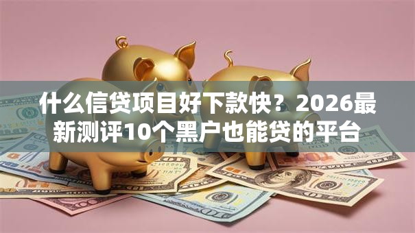 什么信贷项目好下款快？2026最新测评10个黑户也能贷的平台