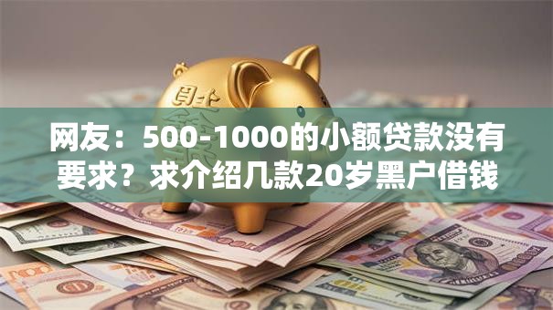 网友：500-1000的小额贷款没有要求？求介绍几款20岁黑户借钱平台秒过小额