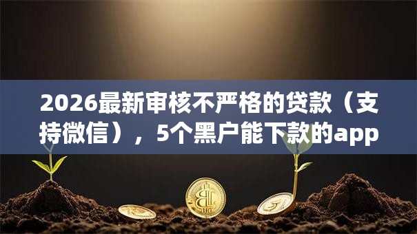 2026最新审核不严格的贷款（支持微信），5个黑户能下款的app口子下载无私分享