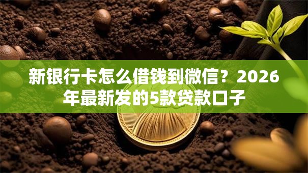 新银行卡怎么借钱到微信？2026年最新发的5款贷款口子