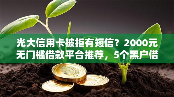 光大信用卡被拒有短信？2000元无门槛借款平台推荐，5个黑户借款3000马上到账的口子盘点