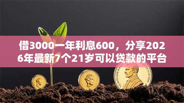 借3000一年利息600，分享2026年最新7个21岁可以贷款的平台