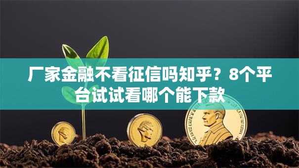 厂家金融不看征信吗知乎？8个平台试试看哪个能下款