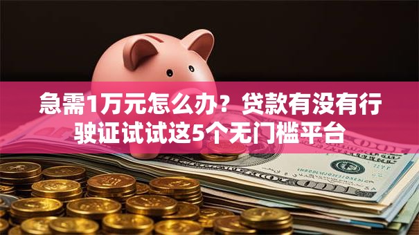 急需1万元怎么办？贷款有没有行驶证试试这5个无门槛平台