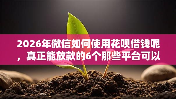 2026年微信如何使用花呗借钱呢，真正能放款的6个那些平台可以借钱推荐