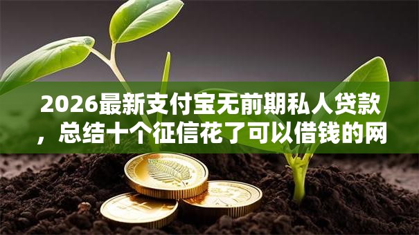 2026最新支付宝无前期私人贷款，总结十个征信花了可以借钱的网贷平台！