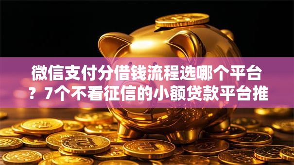 微信支付分借钱流程选哪个平台?7个不看征信的小额贷款平台推荐 微信支付分借钱流程选哪个平台?7个不看征信的小额贷款平台推荐
