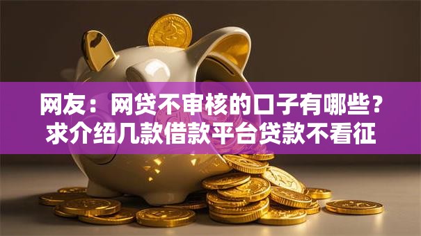 网友：网贷不审核的口子有哪些？求介绍几款借款平台贷款不看征信
