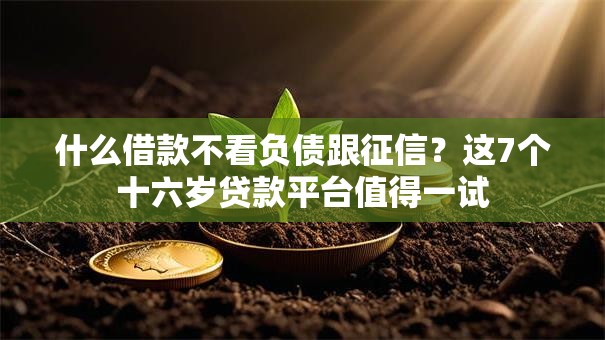 什么借款不看负债跟征信？这7个十六岁贷款平台值得一试