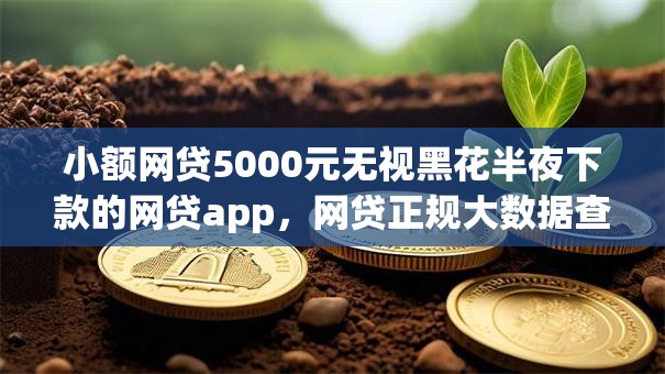 小额网贷5000元无视黑花半夜下款的网贷app，网贷正规大数据查询平台的8个平台介绍