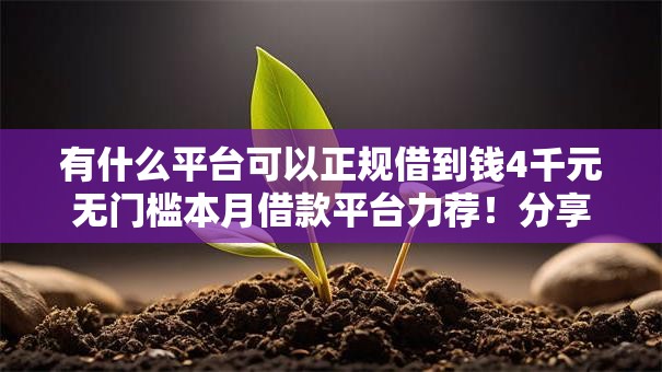 有什么平台可以正规借到钱4千元无门槛本月借款平台力荐！分享小额网贷口子4千元无门槛借款