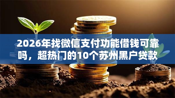 2026年找微信支付功能借钱可靠吗，超热门的10个苏州黑户贷款5万的软件推荐
