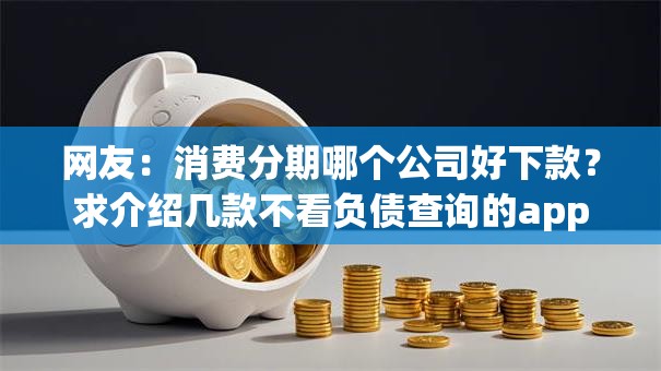 网友：消费分期哪个公司好下款？求介绍几款不看负债查询的app