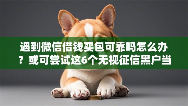 遇到微信借钱买包可靠吗怎么办？或可尝试这6个无视征信黑户当前逾期必下款的口子