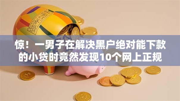 惊！一男子在解决黑户绝对能下款的小贷时竟然发现10个网上正规贷款平台，事后分享了出来